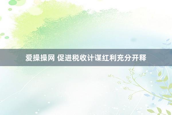 爱操操网 促进税收计谋红利充分开释