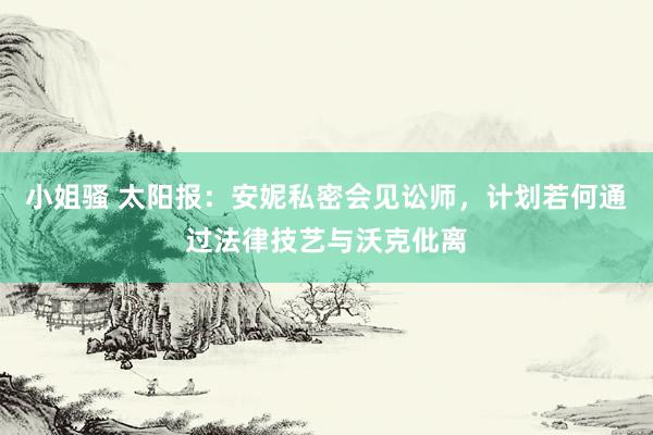 小姐骚 太阳报:安妮私密会见讼师,计划若何通过法律技艺与沃克仳离