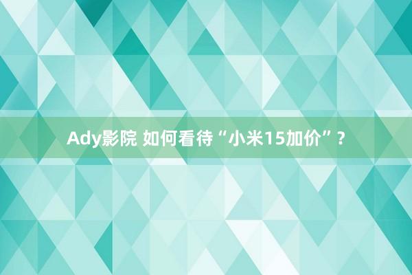 Ady影院 如何看待“小米15加价”？