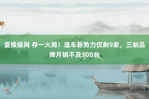 爱操操网 存一火局！造车新势力仅剩9家，三制品牌月销不及300台