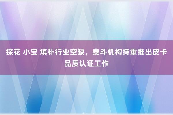 探花 小宝 填补行业空缺，泰斗机构持重推出皮卡品质认证工作