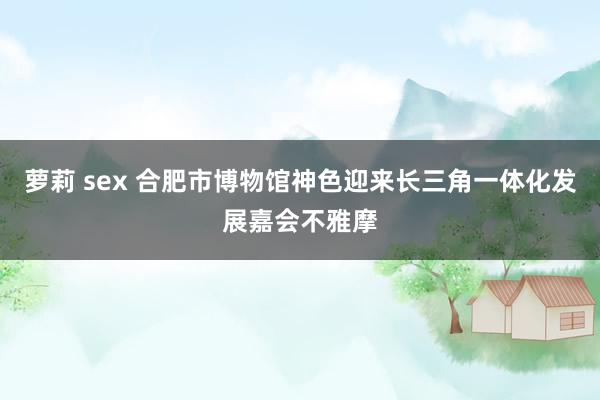 萝莉 sex 合肥市博物馆神色迎来长三角一体化发展嘉会不雅摩