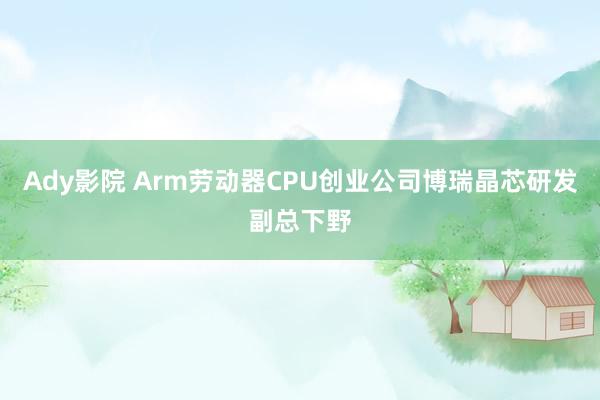 Ady影院 Arm劳动器CPU创业公司博瑞晶芯研发副总下野