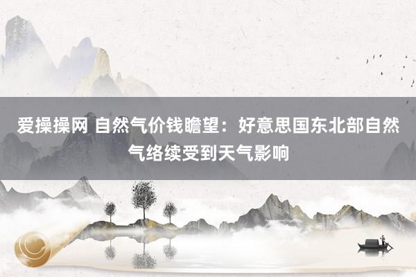 爱操操网 自然气价钱瞻望：好意思国东北部自然气络续受到天气影响