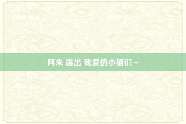 阿朱 露出 我爱的小猫们~