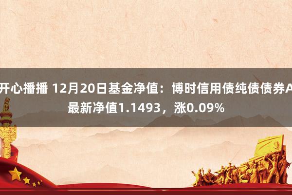 开心播播 12月20日基金净值：博时信用债纯债债券A最新净值1.1493，涨0.09%