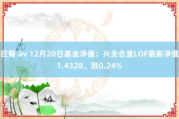 巨臀 av 12月20日基金净值：兴全合宜LOF最新净值1.4328，跌0.24%
