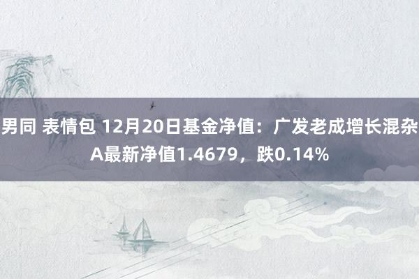 男同 表情包 12月20日基金净值：广发老成增长混杂A最新净值1.4679，跌0.14%