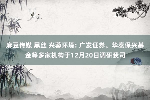 麻豆传媒 黑丝 兴蓉环境: 广发证券、华泰保兴基金等多家机构于12月20日调研我司