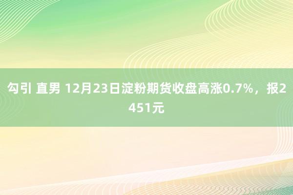 勾引 直男 12月23日淀粉期货收盘高涨0.7%，报2451元