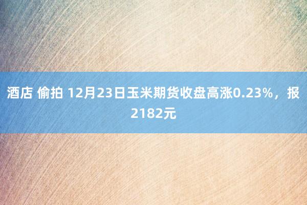 酒店 偷拍 12月23日玉米期货收盘高涨0.23%，报2182元