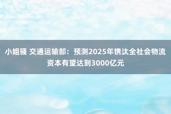 小姐骚 交通运输部：预测2025年镌汰全社会物流资本有望达到3000亿元