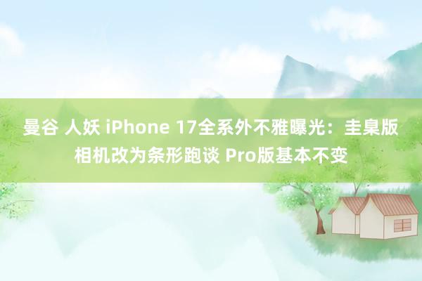 曼谷 人妖 iPhone 17全系外不雅曝光：圭臬版相机改为条形跑谈 Pro版基本不变