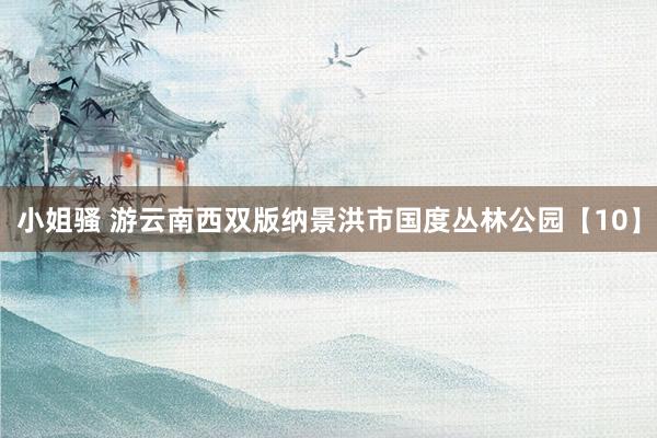 小姐骚 游云南西双版纳景洪市国度丛林公园【10】