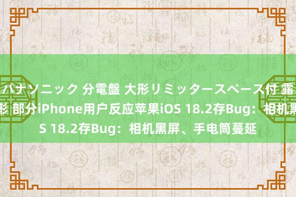 パナソニック 分電盤 大形リミッタースペース付 露出・半埋込両用形 部分iPhone用户反应苹果iOS 18.2存Bug：相机黑屏、手电筒蔓延