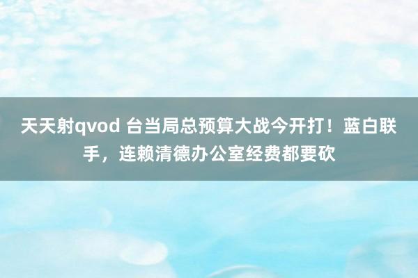 天天射qvod 台当局总预算大战今开打！蓝白联手，连赖清德办公室经费都要砍