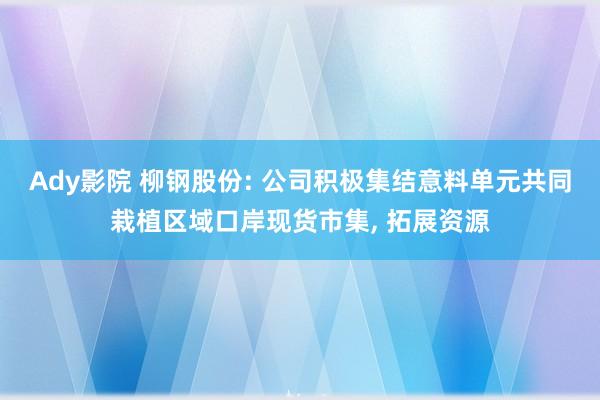 Ady影院 柳钢股份: 公司积极集结意料单元共同栽植区域口岸现货市集， 拓展资源