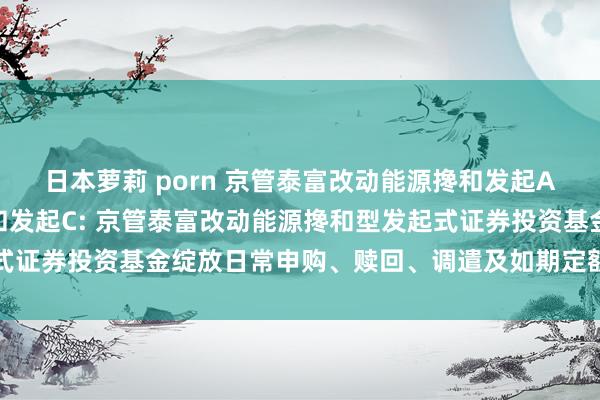 日本萝莉 porn 京管泰富改动能源搀和发起A,京管泰富改动能源搀和发起C: 京管泰富改动能源搀和型发起式证券投资基金绽放日常申购、赎回、调遣及如期定额投资业务公告