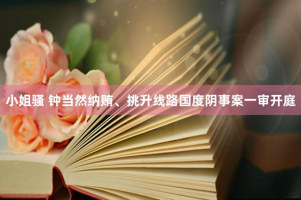 小姐骚 钟当然纳贿、挑升线路国度阴事案一审开庭