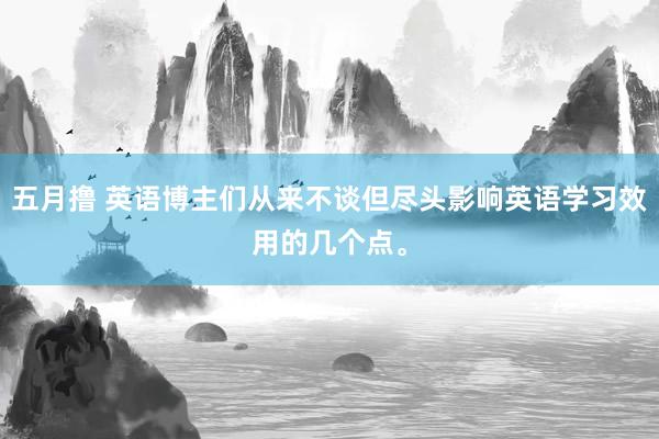 五月撸 英语博主们从来不谈但尽头影响英语学习效用的几个点。