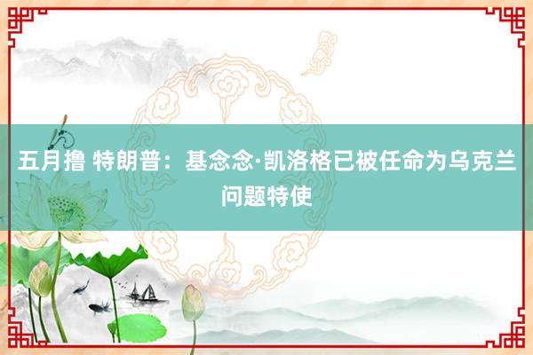 五月撸 特朗普：基念念·凯洛格已被任命为乌克兰问题特使