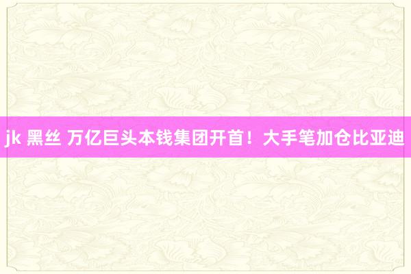 jk 黑丝 万亿巨头本钱集团开首！大手笔加仓比亚迪