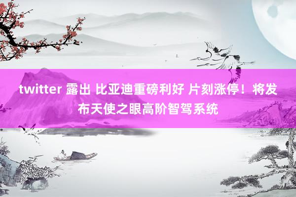 twitter 露出 比亚迪重磅利好 片刻涨停！将发布天使之眼高阶智驾系统
