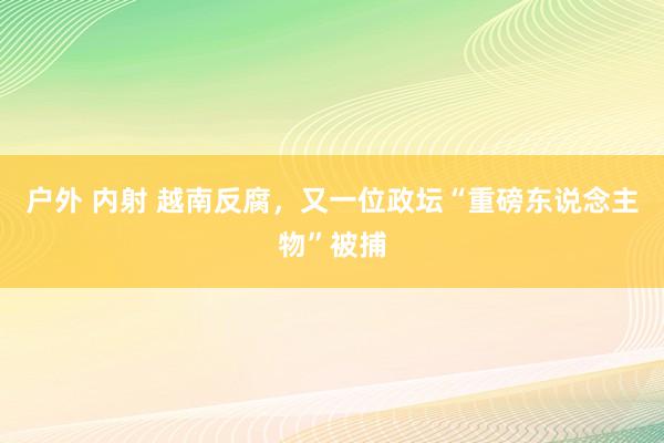 户外 内射 越南反腐，又一位政坛“重磅东说念主物”被捕