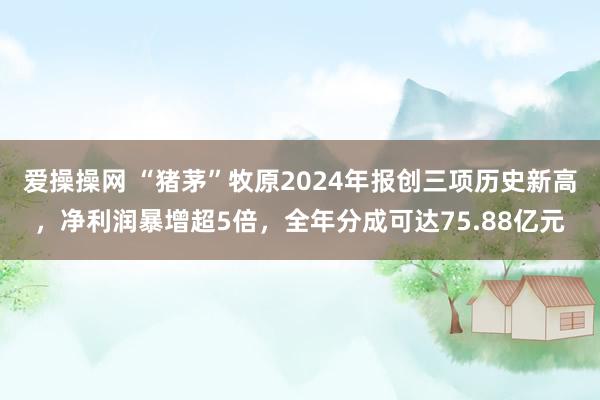 爱操操网 “猪茅”牧原2024年报创三项历史新高，净利润暴增超5倍，全年分成可达75.88亿元
