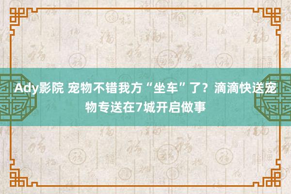 Ady影院 宠物不错我方“坐车”了？滴滴快送宠物专送在7城开启做事