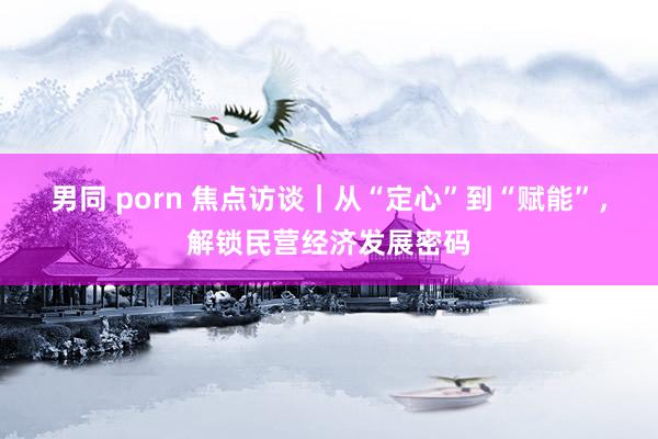 男同 porn 焦点访谈｜从“定心”到“赋能”，解锁民营经济发展密码