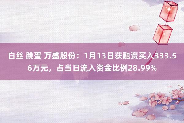 白丝 跳蛋 万盛股份：1月13日获融资买入333.56万元，占当日流入资金比例28.99%