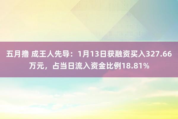 五月撸 成王人先导：1月13日获融资买入327.66万元，占当日流入资金比例18.81%