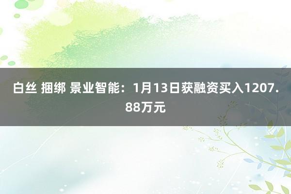 白丝 捆绑 景业智能：1月13日获融资买入1207.88万元