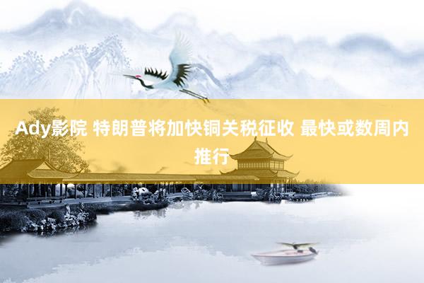 Ady影院 特朗普将加快铜关税征收 最快或数周内推行