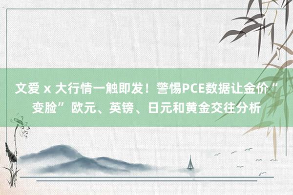 文爱 x 大行情一触即发！警惕PCE数据让金价“变脸” 欧元、英镑、日元和黄金交往分析