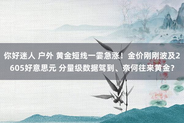 你好迷人 户外 黄金短线一霎急涨！金价刚刚波及2605好意思元 分量级数据驾到、奈何往来黄金？