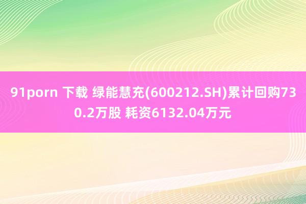 91porn 下载 绿能慧充(600212.SH)累计回购730.2万股 耗资6132.04万元