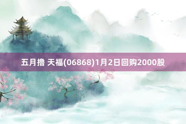 五月撸 天福(06868)1月2日回购2000股