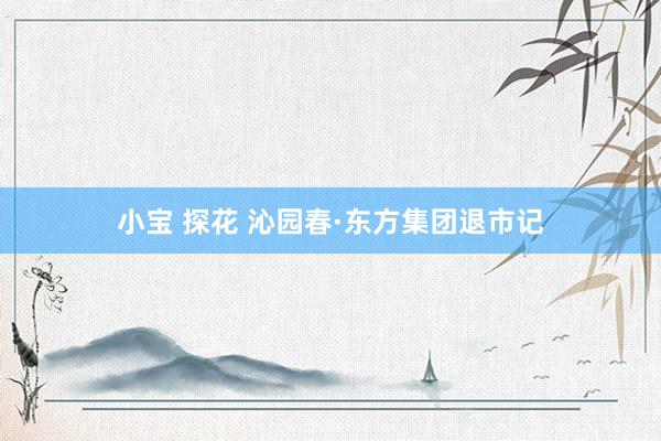 小宝 探花 沁园春·东方集团退市记