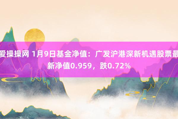 爱操操网 1月9日基金净值：广发沪港深新机遇股票最新净值0.959，跌0.72%