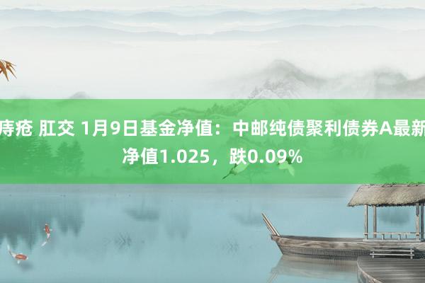 痔疮 肛交 1月9日基金净值：中邮纯债聚利债券A最新净值1.025，跌0.09%