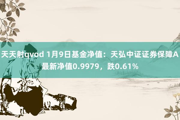 天天射qvod 1月9日基金净值：天弘中证证券保障A最新净值0.9979，跌0.61%
