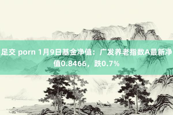 足交 porn 1月9日基金净值：广发养老指数A最新净值0.8466，跌0.7%