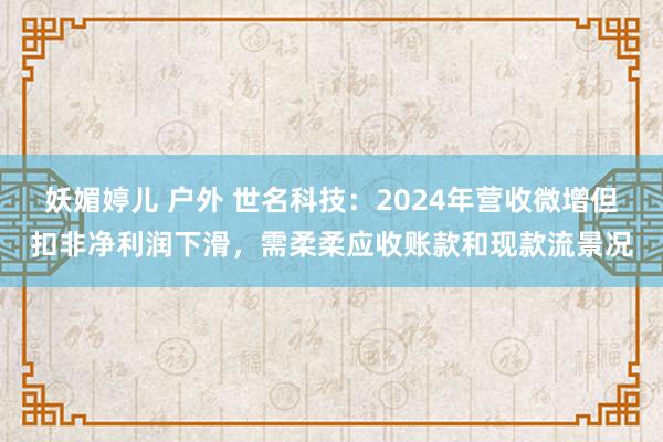 妖媚婷儿 户外 世名科技：2024年营收微增但扣非净利润下滑，需柔柔应收账款和现款流景况