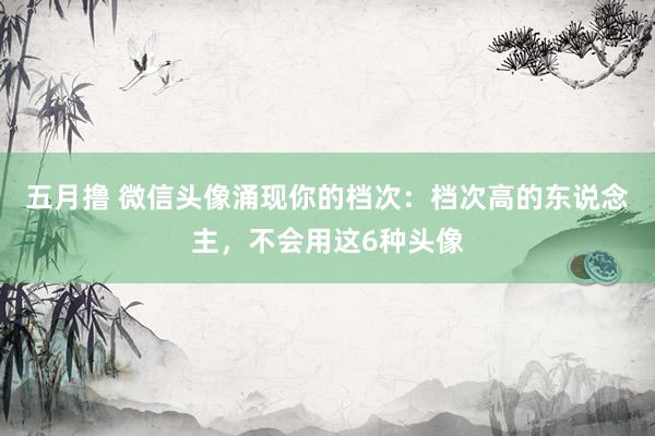 五月撸 微信头像涌现你的档次：档次高的东说念主，不会用这6种头像