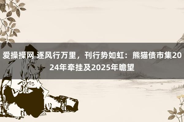 爱操操网 逐风行万里，刊行势如虹：熊猫债市集2024年牵挂及2025年瞻望