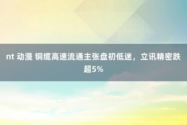 nt 动漫 铜缆高速流通主张盘初低迷，立讯精密跌超5%