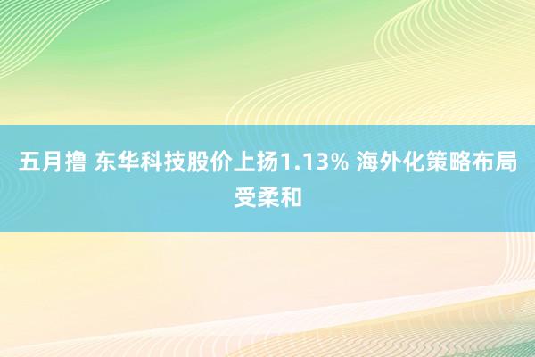 五月撸 东华科技股价上扬1.13% 海外化策略布局受柔和