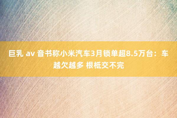 巨乳 av 音书称小米汽车3月锁单超8.5万台：车越欠越多 根柢交不完